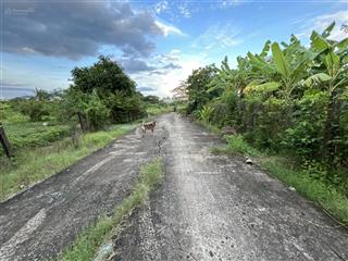 Bán 279m2 thổ + 283m2 lúa đường 4m hẻm đinh thiếu sơn, phường 7, tp tân an, dt 10 x 56m