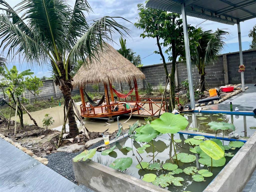 Bán nhà vườn nghĩ mặt tiền nguyễn văn nhâm thuộc nhơn thạnh trung , tp tân an  dt  20 x 50m2