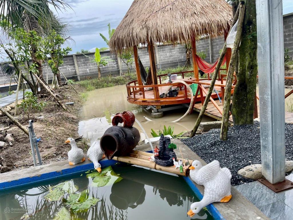 Bán nhà vườn nghĩ mặt tiền nguyễn văn nhâm thuộc nhơn thạnh trung , tp tân an  dt  20 x 50m2