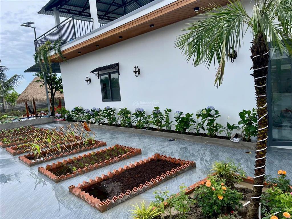 Bán nhà vườn nghĩ mặt tiền nguyễn văn nhâm thuộc nhơn thạnh trung , tp tân an  dt  20 x 50m2