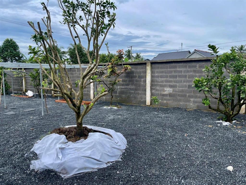 Bán nhà vườn nghĩ mặt tiền nguyễn văn nhâm thuộc nhơn thạnh trung , tp tân an  dt  20 x 50m2