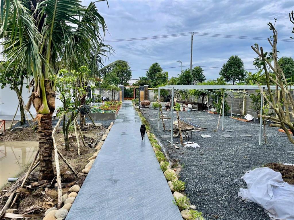 Bán nhà vườn nghĩ mặt tiền nguyễn văn nhâm thuộc nhơn thạnh trung , tp tân an  dt  20 x 50m2