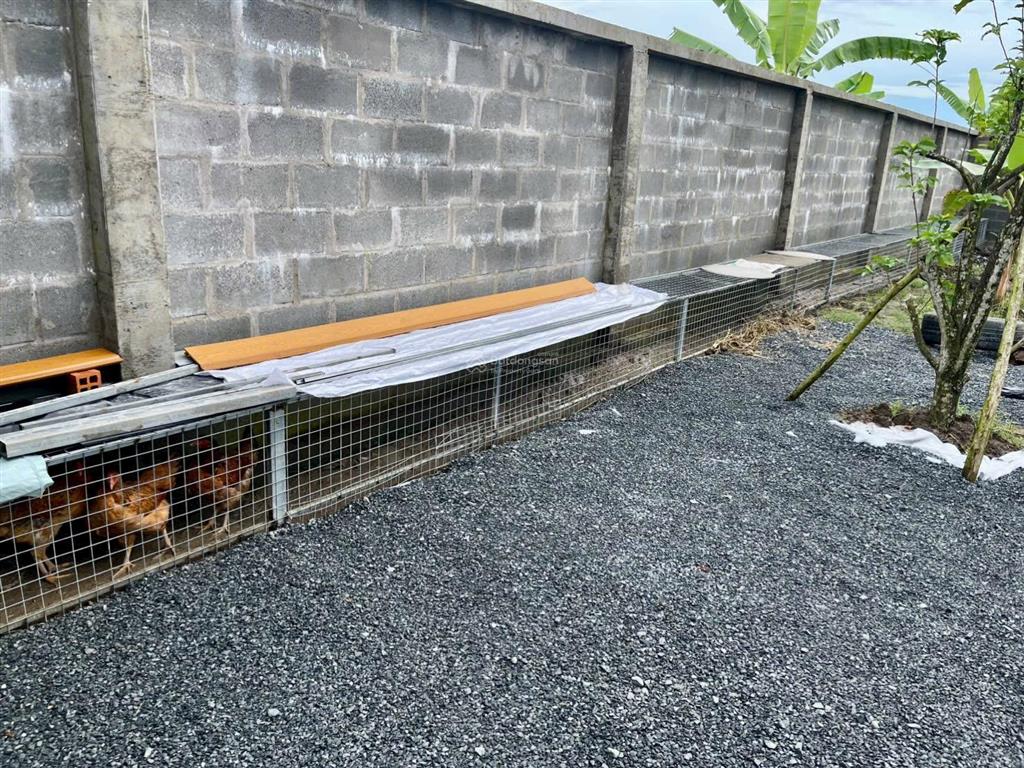 Bán nhà vườn nghĩ mặt tiền nguyễn văn nhâm thuộc nhơn thạnh trung , tp tân an  dt  20 x 50m2