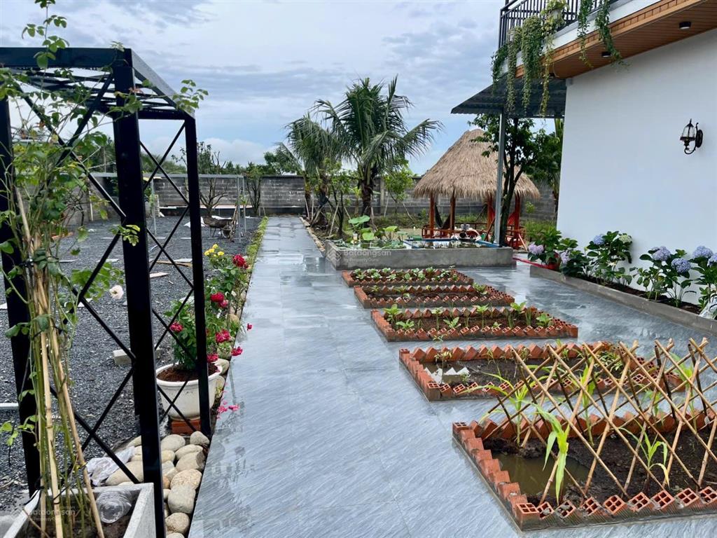 Bán nhà vườn nghĩ mặt tiền nguyễn văn nhâm thuộc nhơn thạnh trung , tp tân an  dt  20 x 50m2