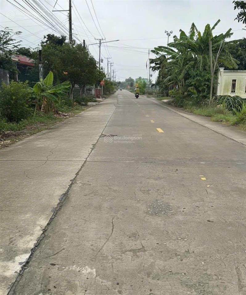 Bán đất thổ mặt tiền lộ dừa thuộc ấp vĩnh bình, vĩnh công, châu thành, diện tích 5 x 42m