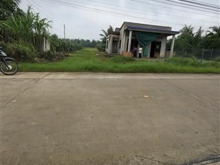 Bán đất thổ mặt tiền lộ dừa thuộc ấp vĩnh bình , vĩnh công , châu thành  diện tích  5 x 42m2