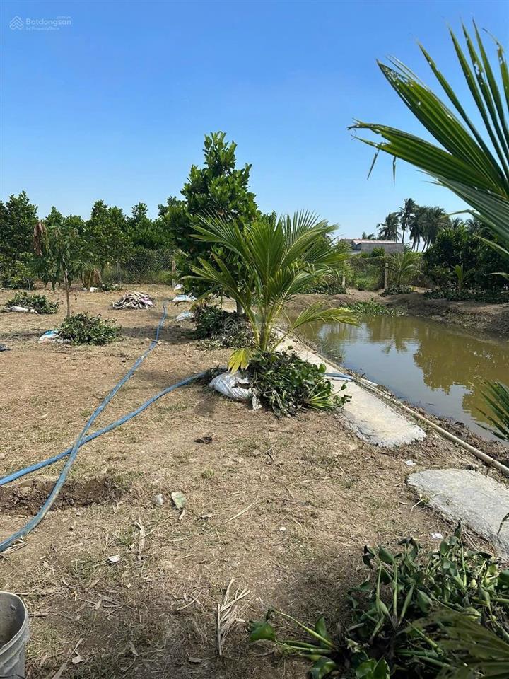 Bán nhà vườn nghỉ dưỡng 760m2 lúa + 117m2 thổ thuộc ấp 8, phước tân hưng, châu thành, long an