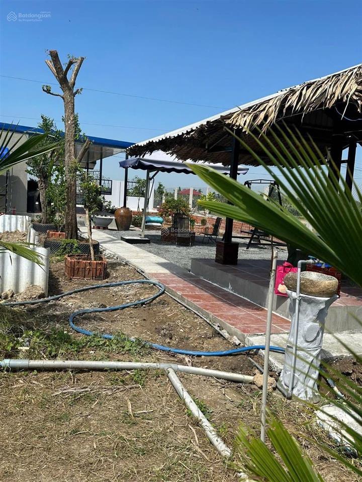 Bán nhà vườn nghỉ dưỡng 760m2 lúa + 117m2 thổ thuộc ấp 8, phước tân hưng, châu thành, long an