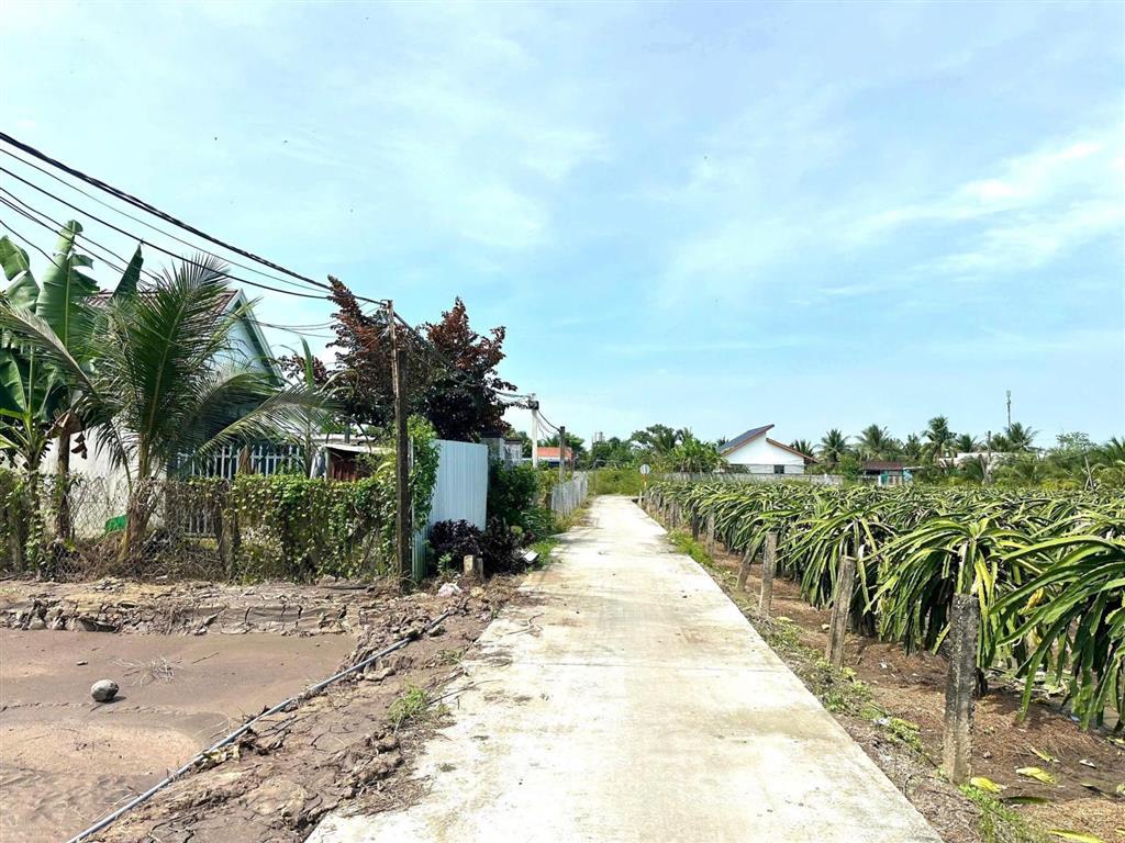 Bán 2 lô đất thổ cư hẻm châu thị kim, xã an vĩnh ngãi, tp tân an, diện tích 6 x 41m