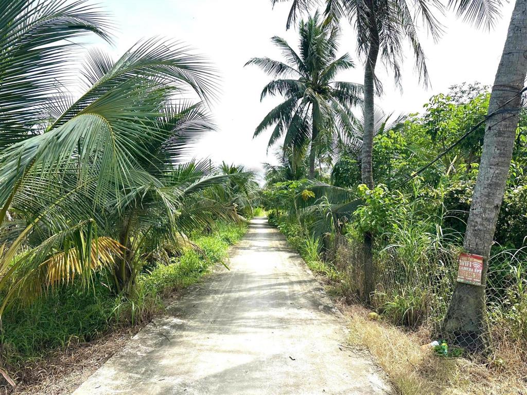 Bán 2 lô đất thổ cư hẻm châu thị kim, xã an vĩnh ngãi, tp tân an, diện tích 6 x 41m