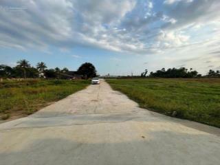 Bán 1000m2 lúa đường 5m thuộc phú ngãi trị, châu thành, long an, diện tích 11 x 76