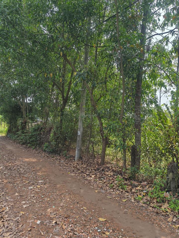 Chủ kẹt tiền bán lô đất shr sát vinhomes tp. thủ đức, thích hợp làm nhà vườn, kho xưởng giá rẻ