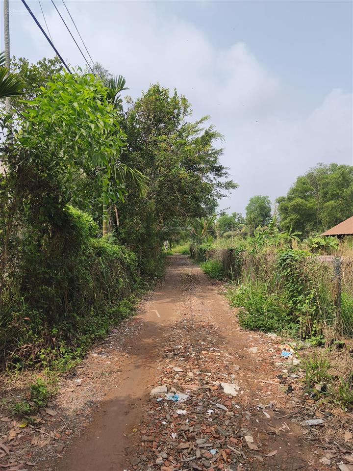 Chủ kẹt tiền bán lô đất shr sát vinhomes tp. thủ đức, thích hợp làm nhà vườn, kho xưởng giá rẻ