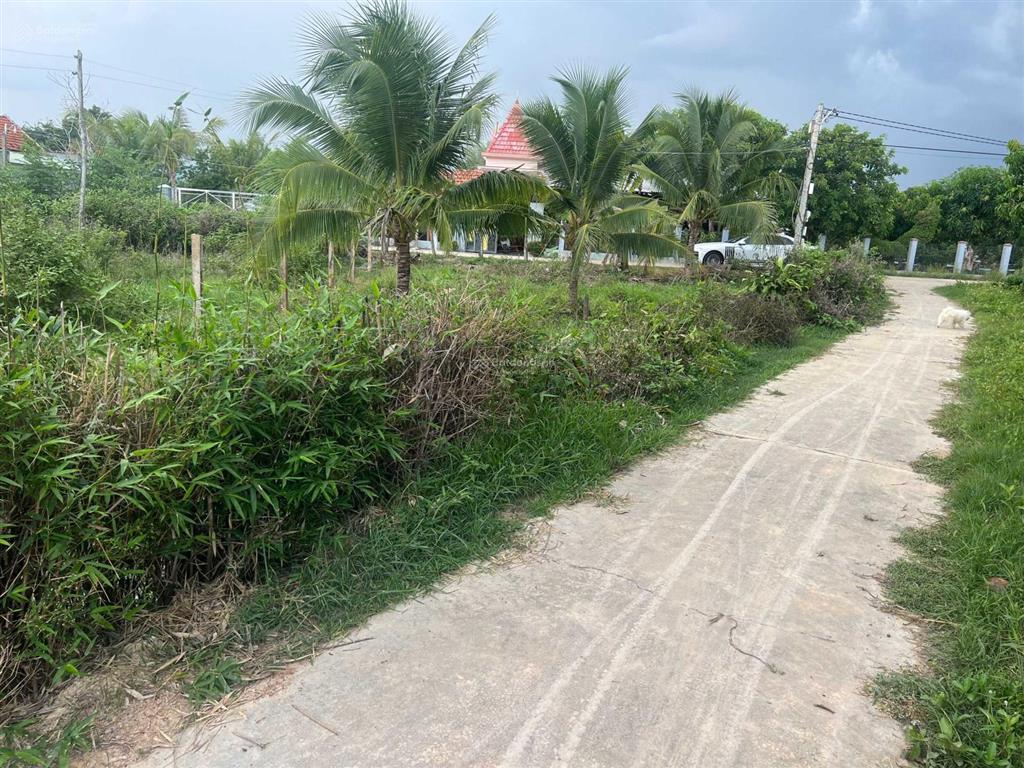 Đất ở gần khu công nghiệp ninh sơn tỉnh lộ 7 ninh hòa