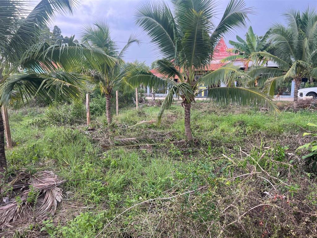Đất ở gần khu công nghiệp ninh sơn tỉnh lộ 7 ninh hòa