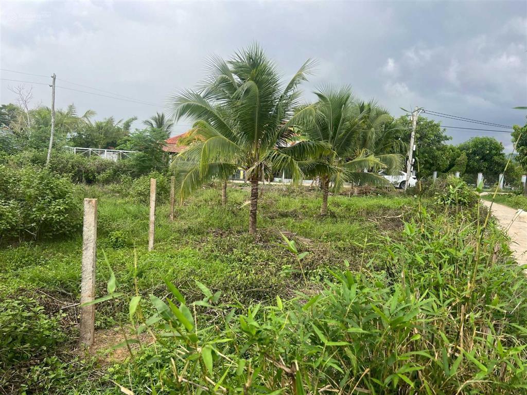 Đất ở gần khu công nghiệp ninh sơn tỉnh lộ 7 ninh hòa