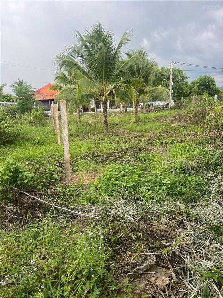 Đất ở gần khu công nghiệp ninh sơn tỉnh lộ 7 ninh hòa