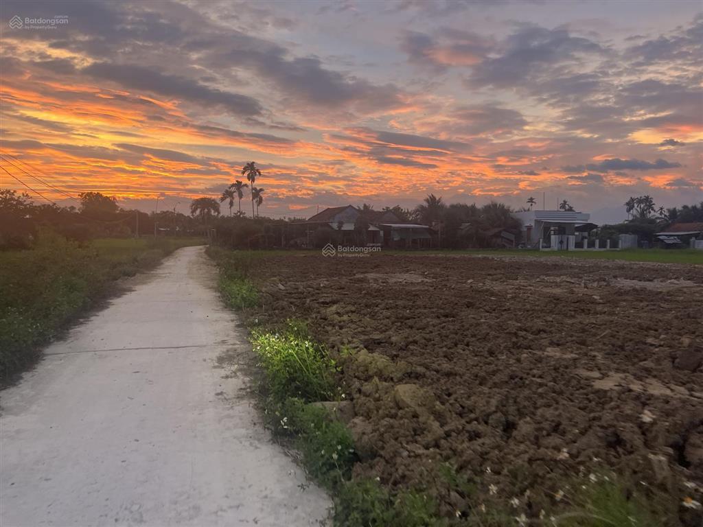 Đất ngộp bank chính chủ cần bán 479 triệu phường ninh hoà tỉnh khánh hoà