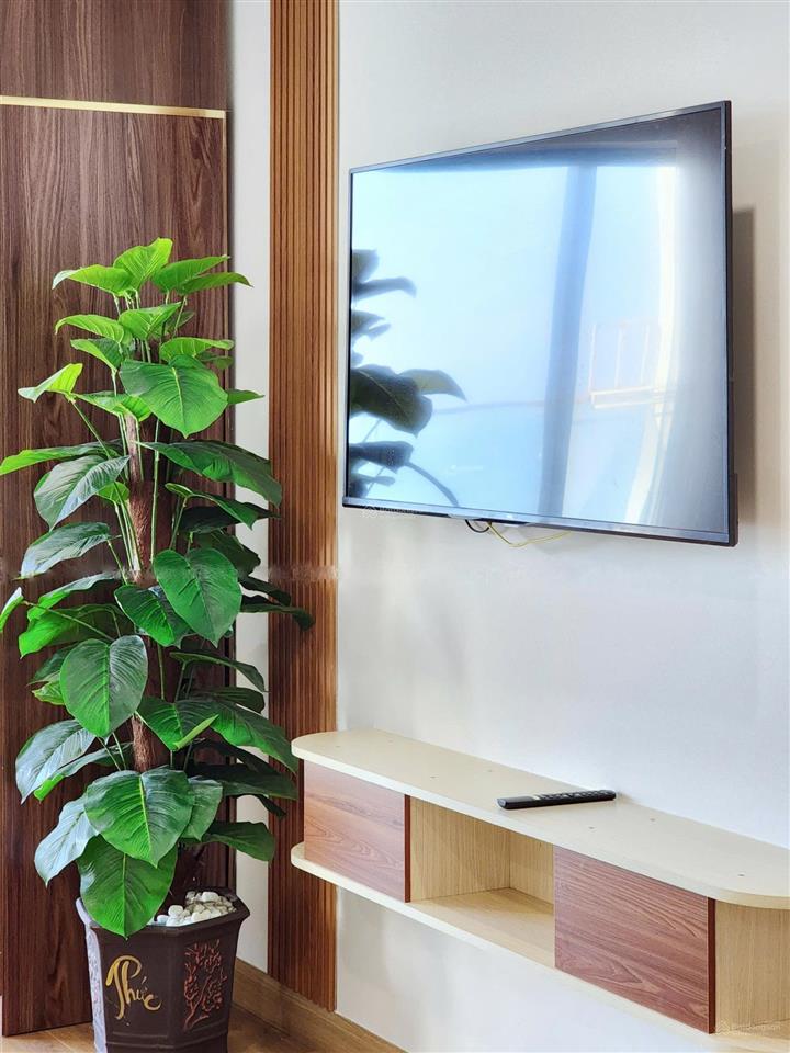 Bán căn hộ tms quy nhơn  căn studio trực diện biển  hướng đông nam