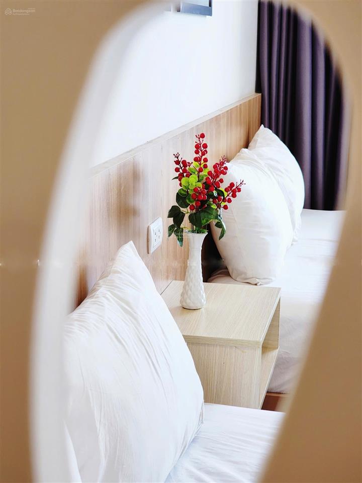 Bán căn hộ tms quy nhơn  căn studio trực diện biển  hướng đông nam