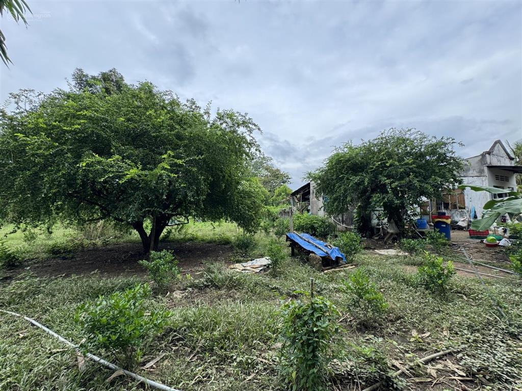 Nhượng bán đất làm trang trại, nhà vườn, khu nghỉ dưỡng,