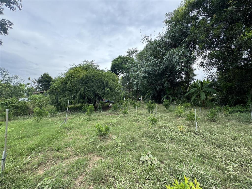 Nhượng bán đất làm trang trại, nhà vườn, khu nghỉ dưỡng,