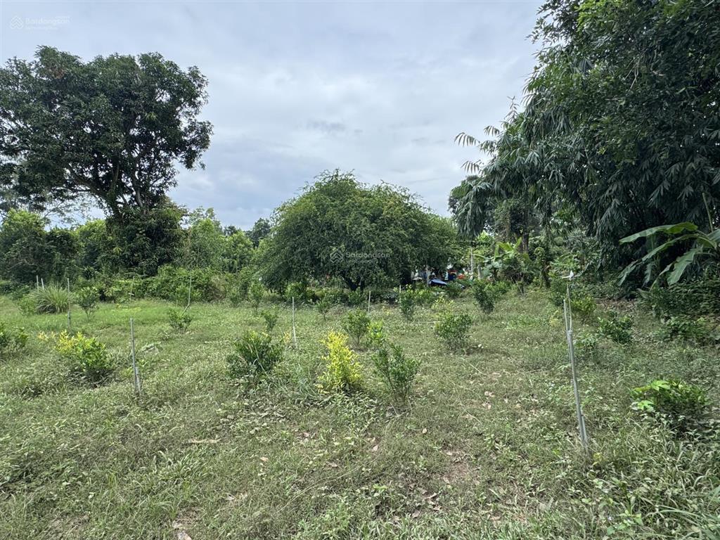 Nhượng bán đất làm trang trại, nhà vườn, khu nghỉ dưỡng,