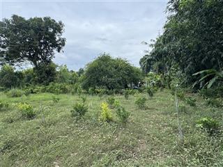 Nhượng bán đất làm trang trại, nhà vườn, khu nghỉ dưỡng,