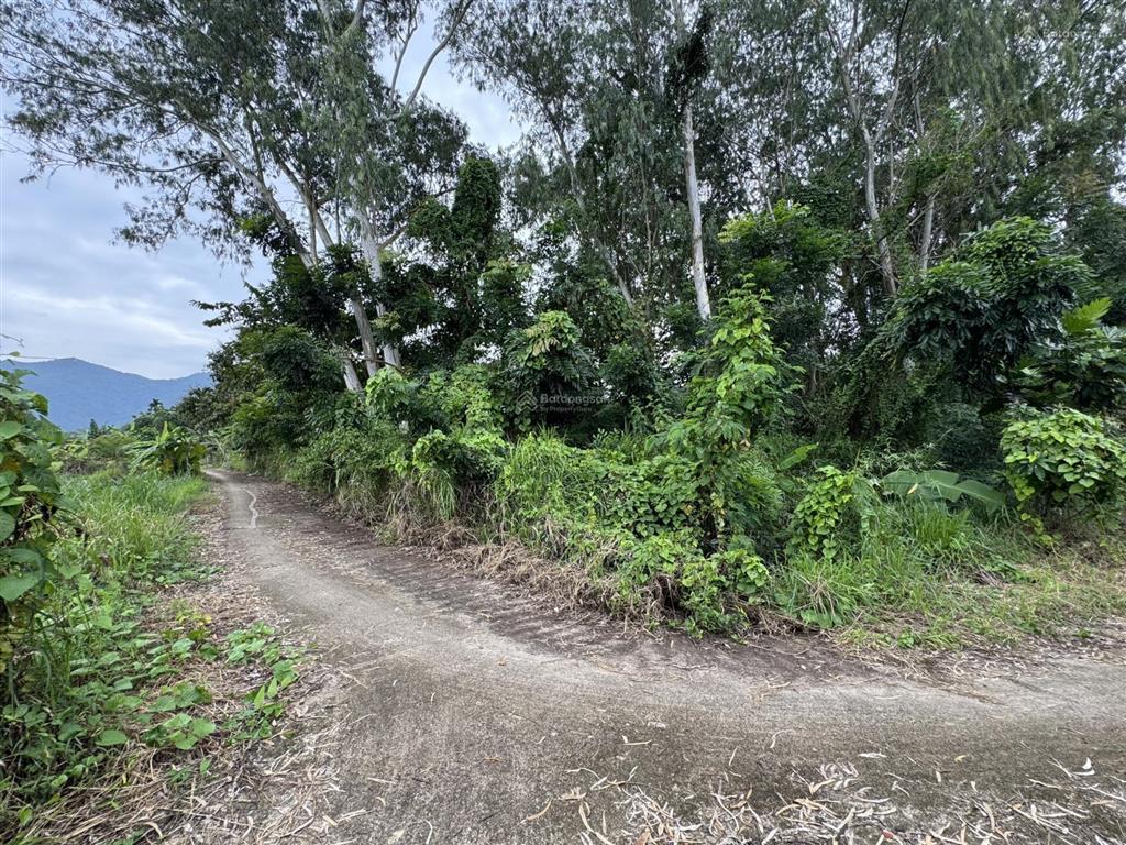 Nhượng bán đất làm trang trại, nhà vườn, khu nghỉ dưỡng,