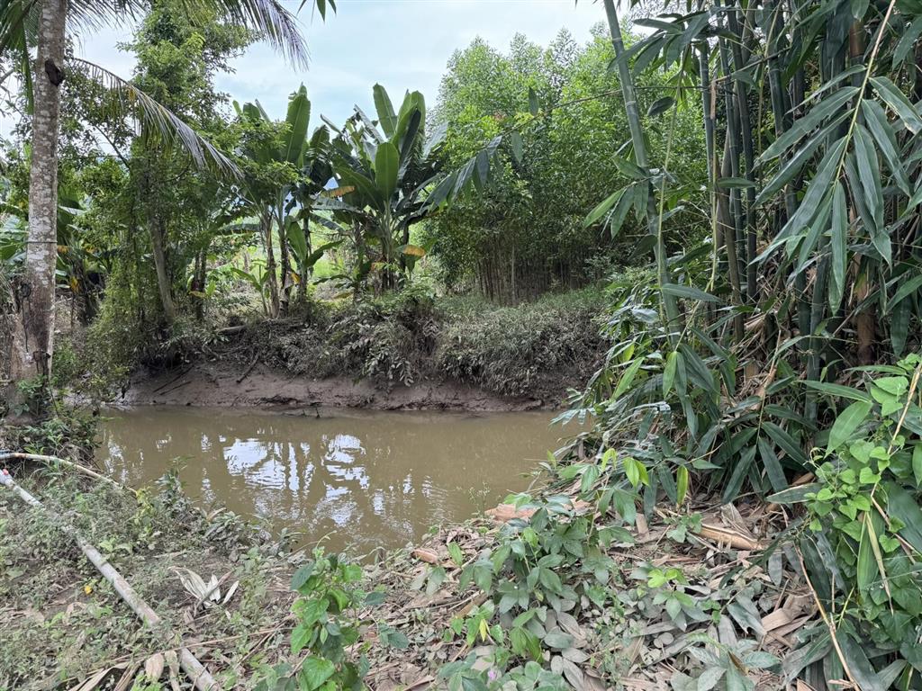 Nhượng bán đất làm trang trại, nhà vườn, khu nghỉ dưỡng,