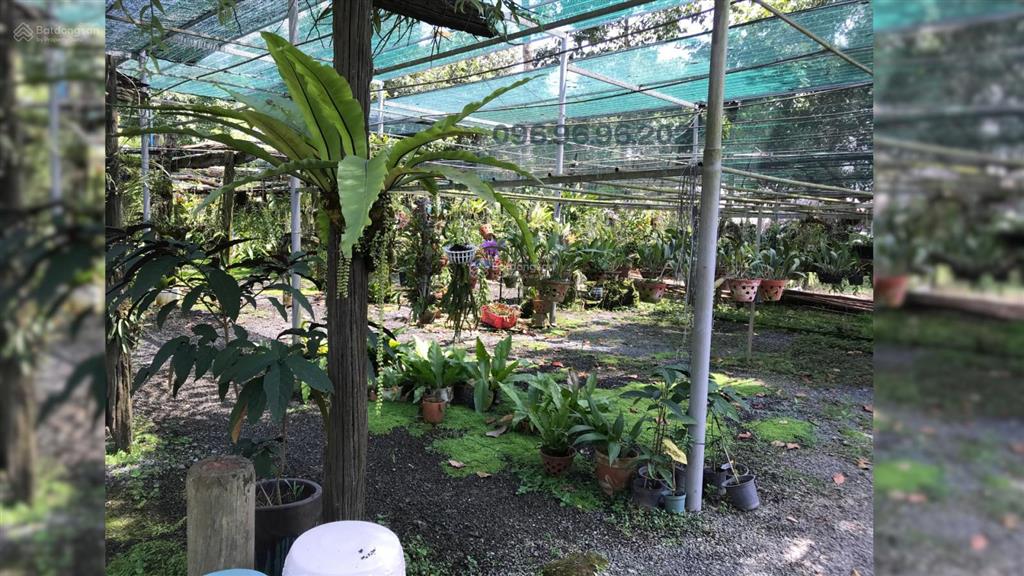 Bán đất nghỉ dưỡng vị trí đẹp trung tâm tp. thủ dầu một đường hồ văn cống