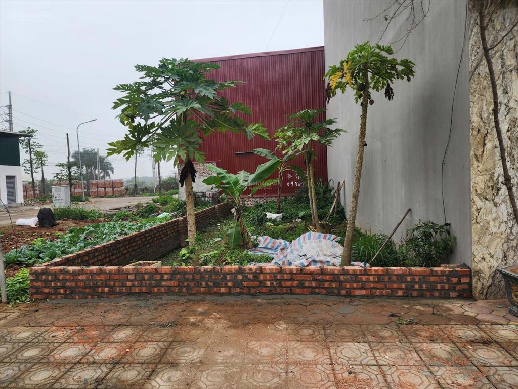 Bán gấp lô đất 50m2 mặt tiền 4.5m không lỗi lầm khu đất dịch vụ vân canh 25,2ha, hàng hiếm giá tốt