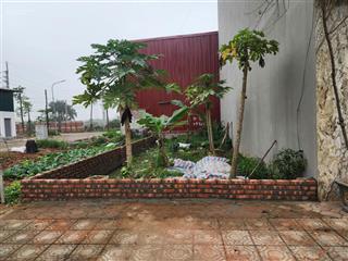 Bán gấp lô đất 50m2 mặt tiền 4.5m không lỗi lầm khu đất dịch vụ vân canh 25,2ha, hàng hiếm giá tốt