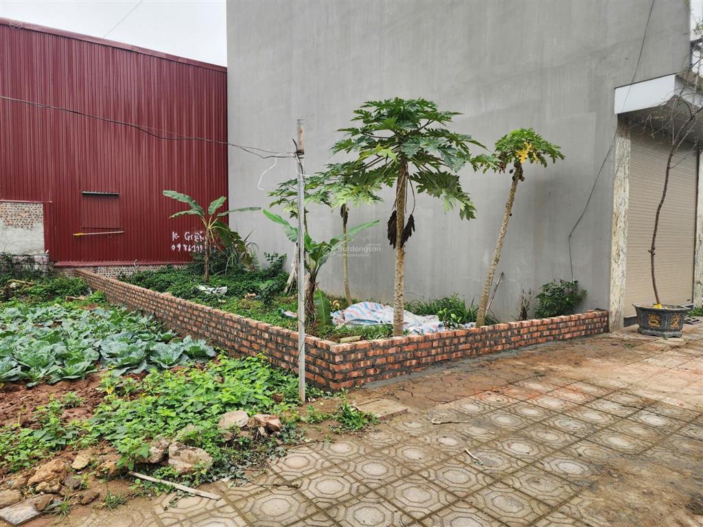 Bán gấp lô đất 50m2 mặt tiền 4.5m không lỗi lầm khu đất dịch vụ vân canh 25,2ha, hàng hiếm giá tốt