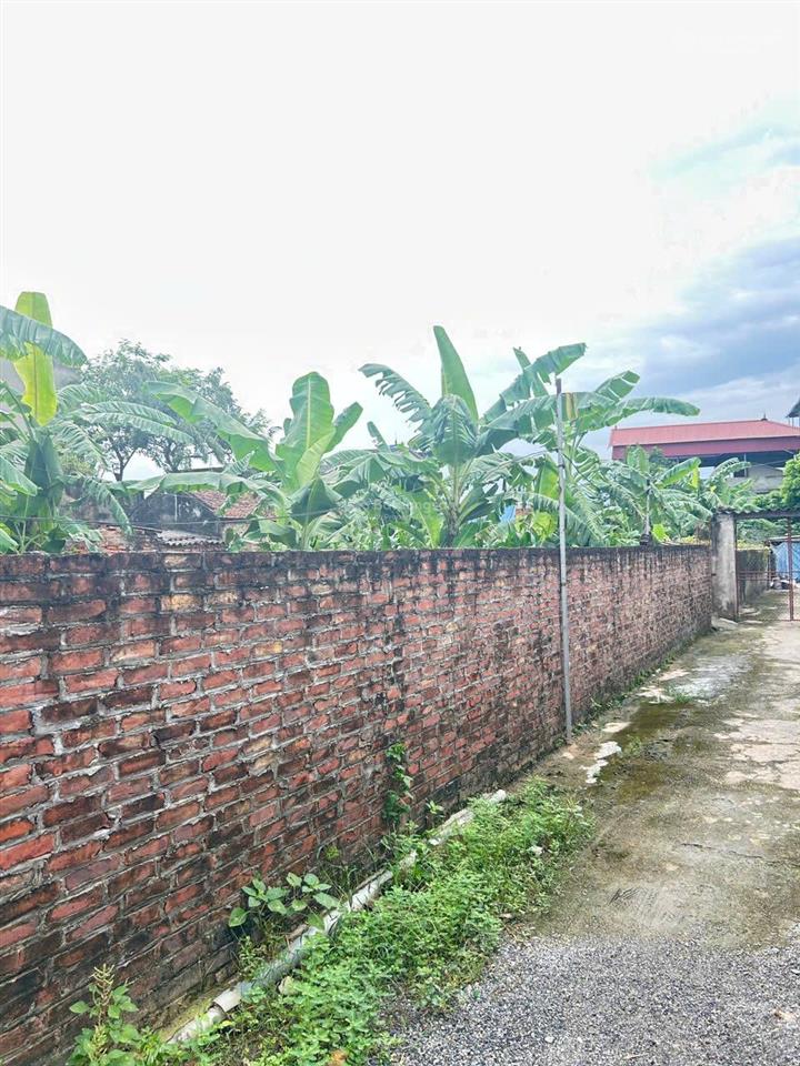 Bán đất lô góc, vân đình, 738 m2, ven sông đáy, dân cư đông đúc, mặt tiền 25m. thoải mái phân lô.