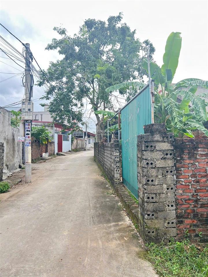 Bán đất lô góc, vân đình, 738 m2, ven sông đáy, dân cư đông đúc, mặt tiền 25m. thoải mái phân lô.