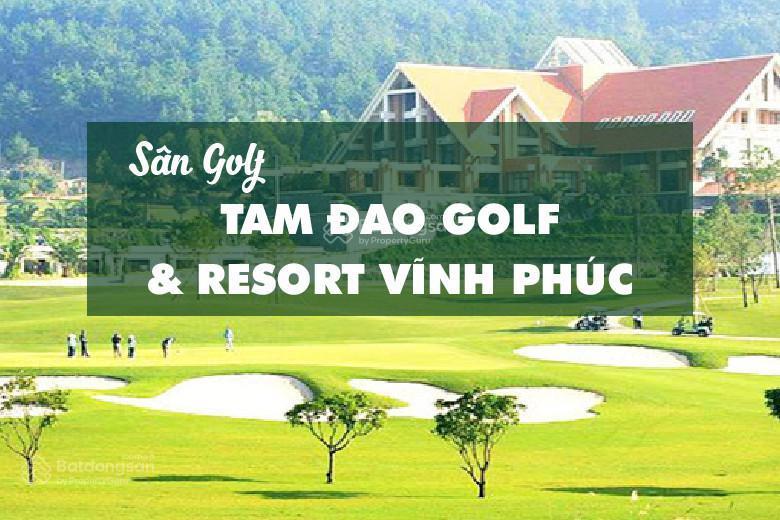Bán lô biệt thự nghỉ dưỡng siêu vip mặt sân golf tam đảo  phú thọ