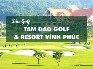 Bán lô biệt thự nghỉ dưỡng siêu vip mặt sân golf tam đảo  phú thọ