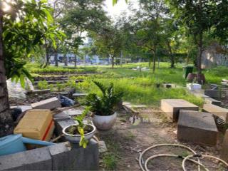 Độc quyền! bán đất biệt thự siêu đẹp đường 31b an phú (dt 11x20m nở hậu 17m cn 260m2) giá 50 tỷ tl