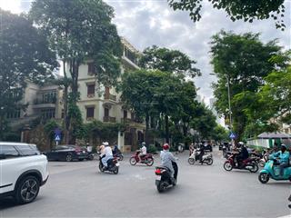 Bán biệt thự mễ trì, nam từ liêm, siêu đẹp, an sinh đỉnh, kinh doanh tốt, 215m2, giá chỉ 47.5 tỷ