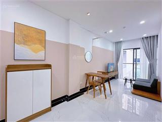Cho thuê ch 1pn tách bếp  balcon  full nt  mới 100%  phan xích long  bv hoàn mỹ  coopmart
