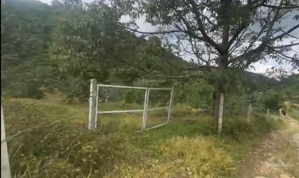 Bán 4 sào đất mặt tiền tại lộc nam, tp bảo lộc, lâm đồng, sổ đỏ chính chủ,  0943 678 ***