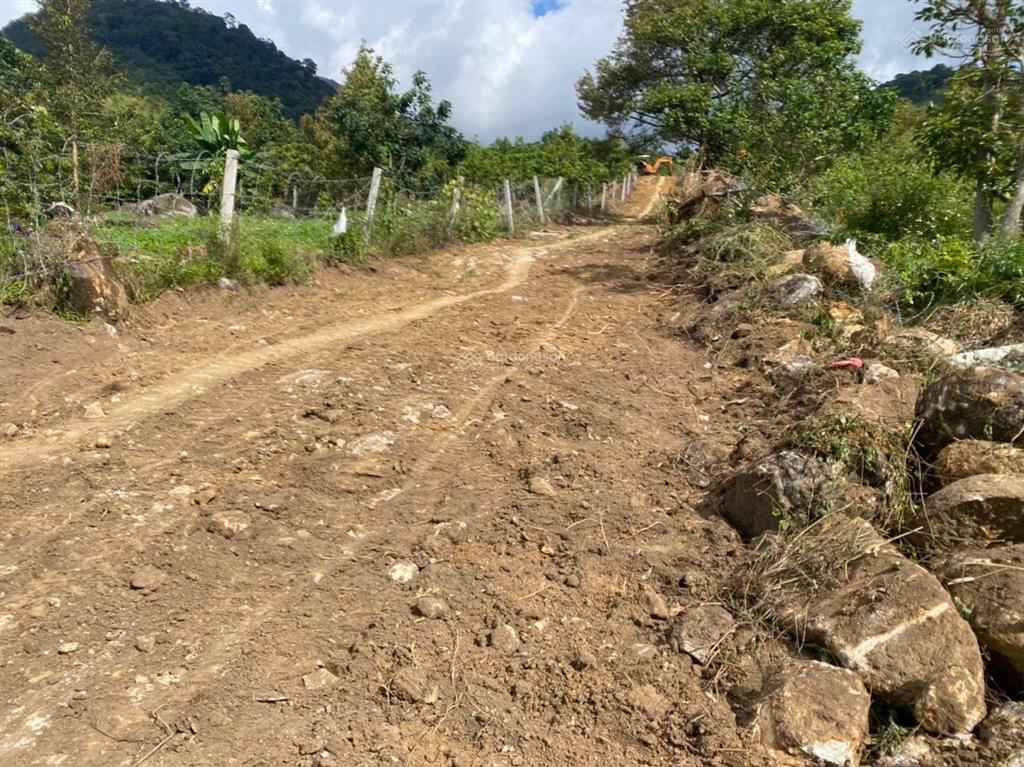 Bán 4 sào đất mặt tiền tại lộc nam, tp bảo lộc, lâm đồng, sổ đỏ chính chủ,  0943 678 ***