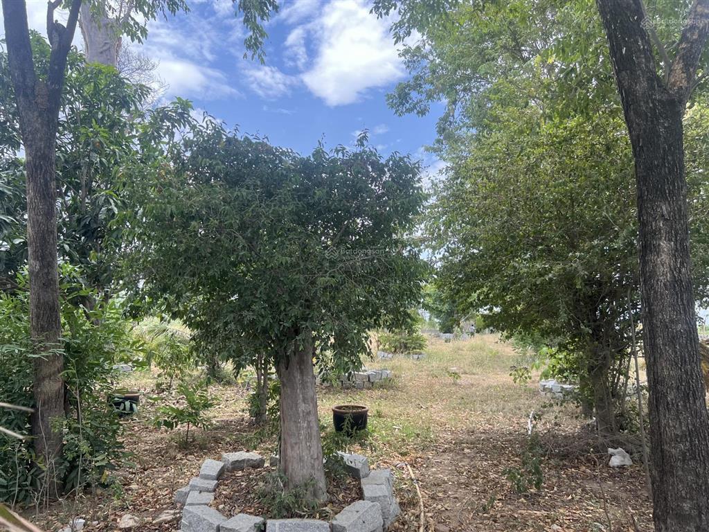 Chính chủ gửi bán lô đất mặt tiền quốc lộ 1a tại thuận nam ninh thuận dt 10598m2 chỉ 2,2tr/m2