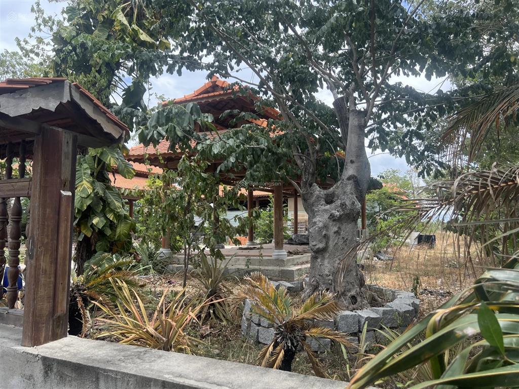 Chính chủ gửi bán lô đất mặt tiền quốc lộ 1a tại thuận nam ninh thuận dt 10598m2 chỉ 2,2tr/m2