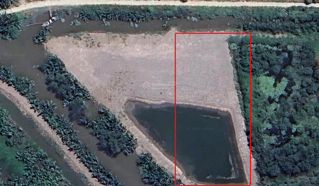 Bán đất tại đường tam thôn hiệp, cần giờ, 6,5 tỷ, 1544m2, giá cực chất, uy tín