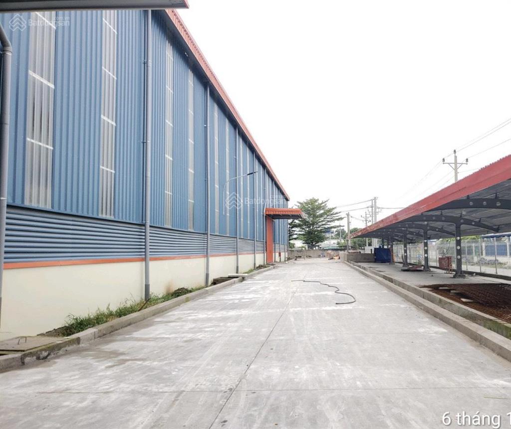 Cho thuê kho xưởng chính chủ mới xây tại cụm kcn kiến thành, cần đước, tỉnh long an, 0949 187 ***
