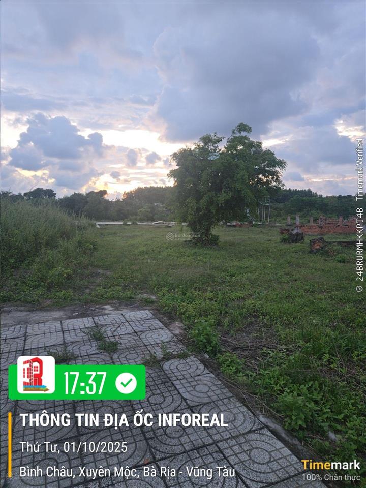 Bán đất tại xã bình châu, xuyên mộc, bà rịa vũng tàu, 22 tỷ, 9722m2 có sẵn 300m2 thổ cư