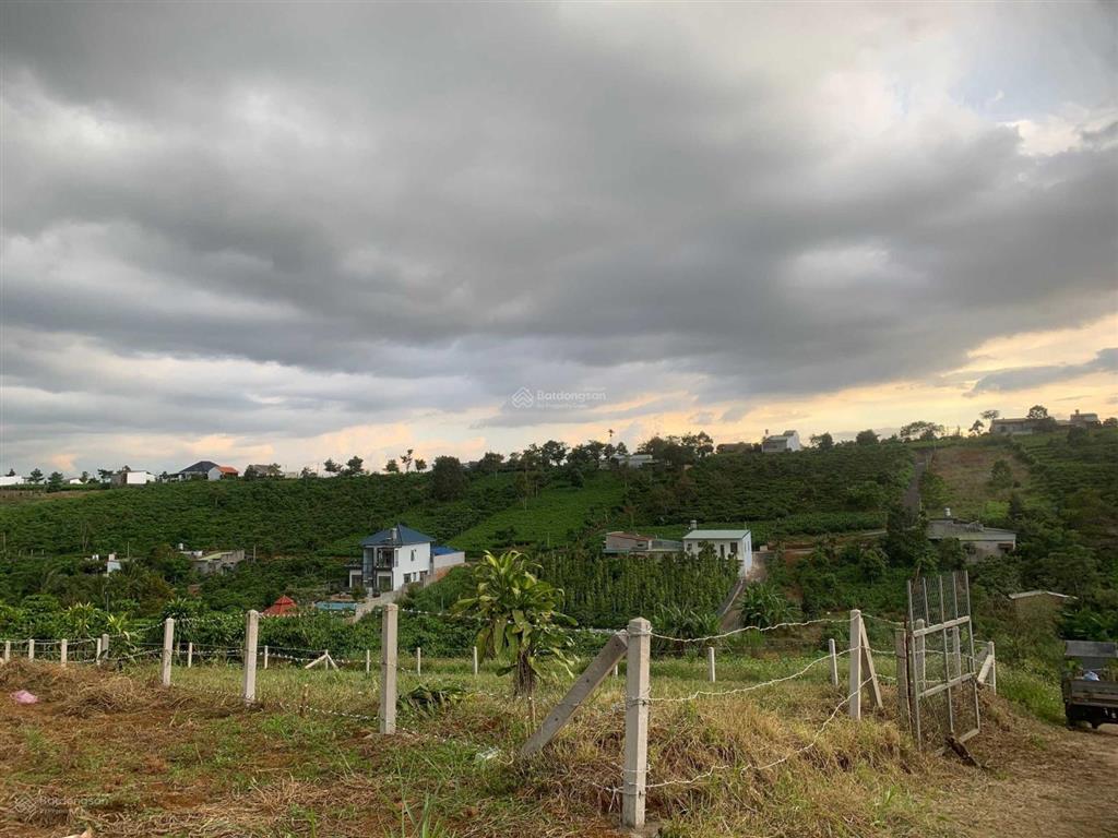 Chính chủ bán lô đất 501m2 tp. bảo lộc, giá 1,7 tỷ.  0901 333 ***