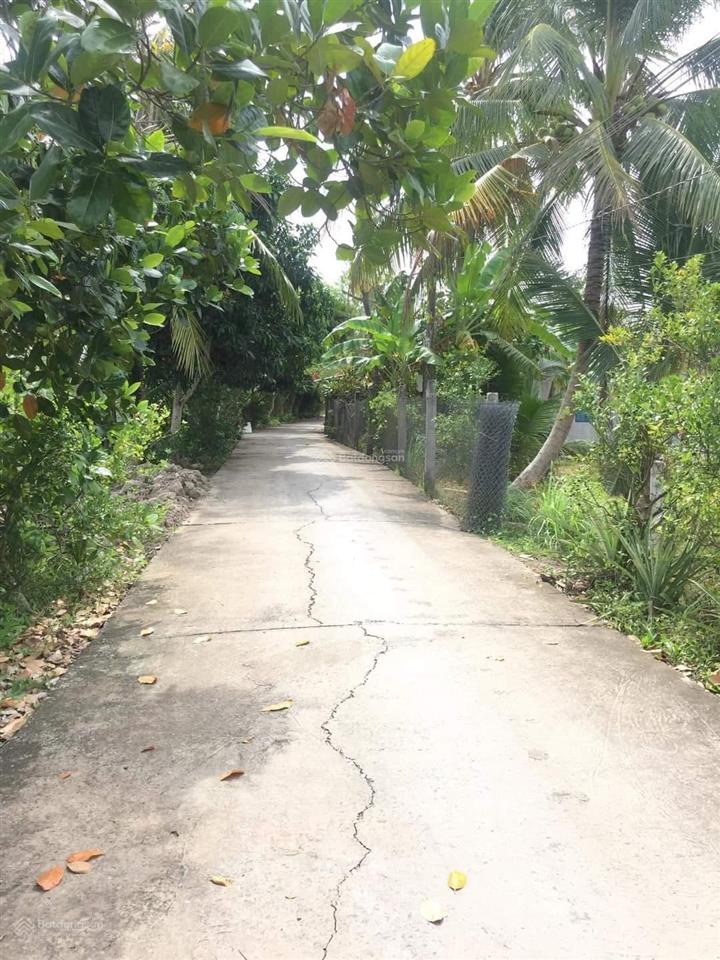 Bán nền thổ cư rạch mù u, cái răng, cần thơ cách chợ cái chanh 1.8km lộ ô tô, không quy hoạch
